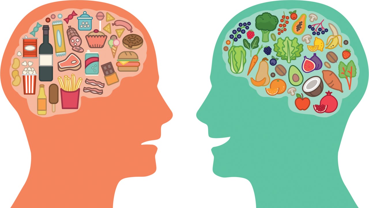 Some Foods that Helps Enhance Creativity through Proper Function of the Brain